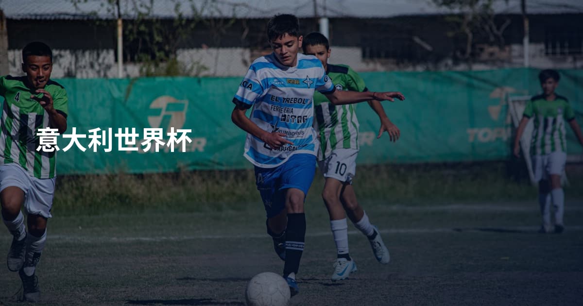 意大利世界杯