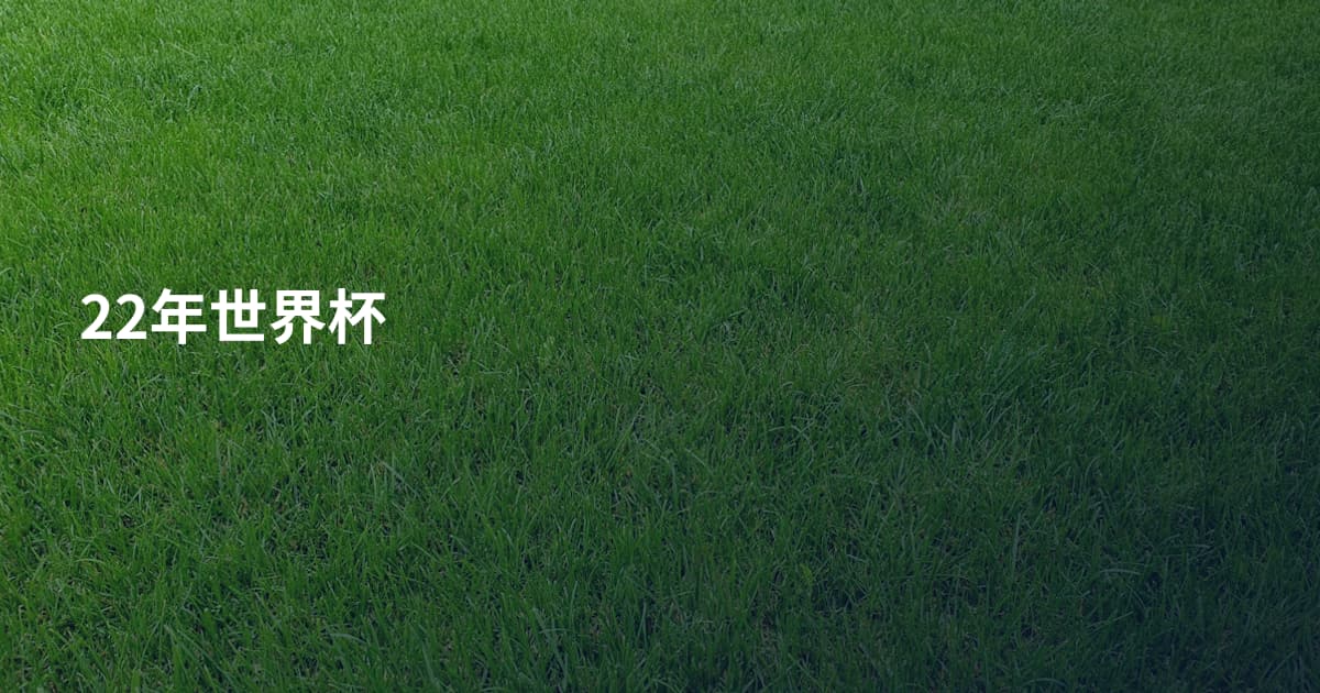 22年世界杯