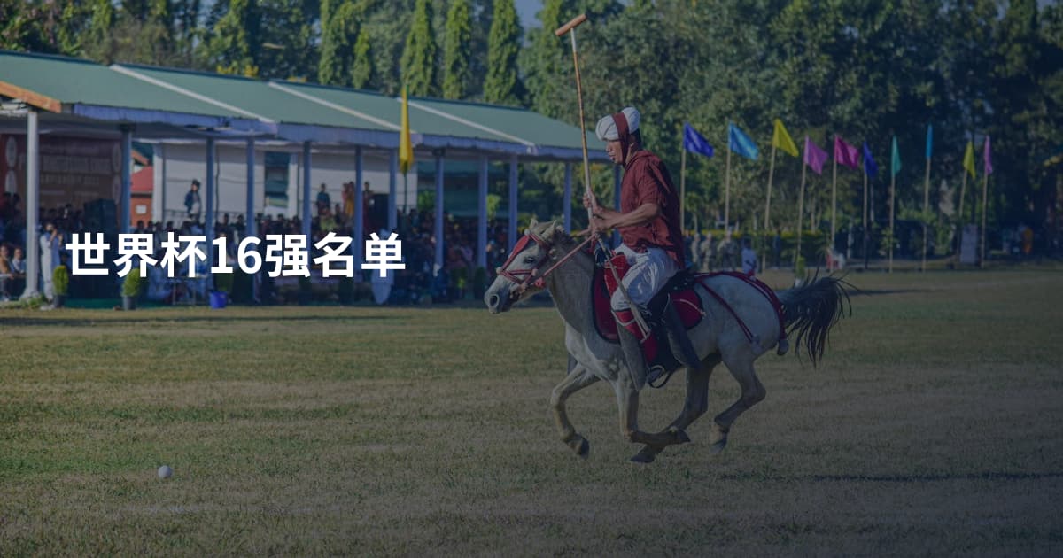 世界杯16强名单
