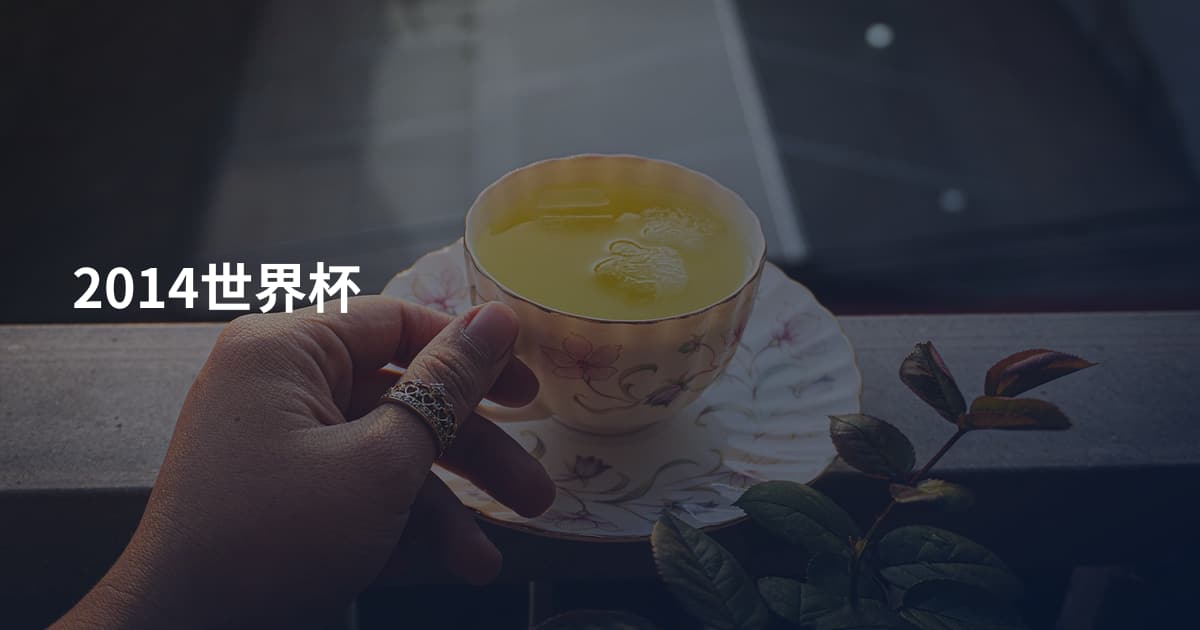 2014世界杯