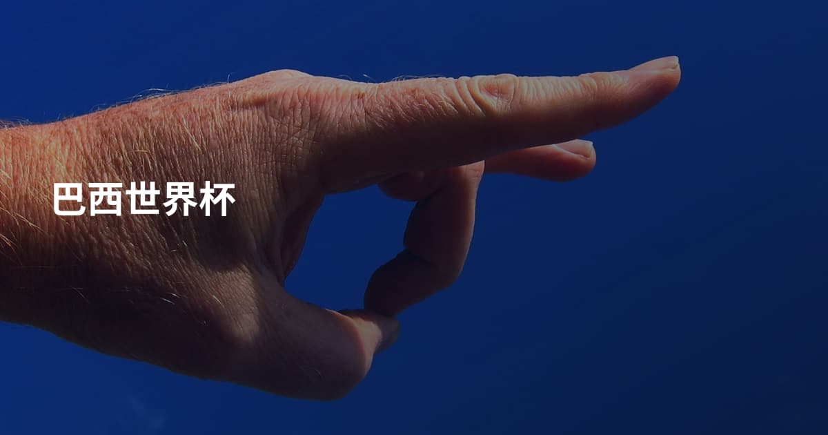 巴西世界杯