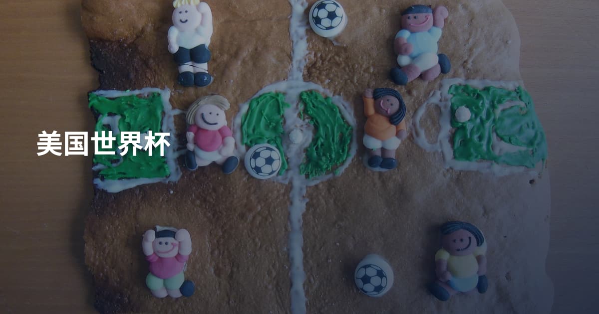 美国世界杯