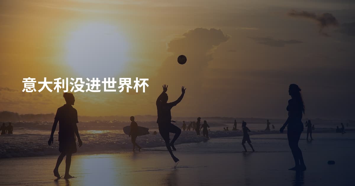 意大利没进世界杯