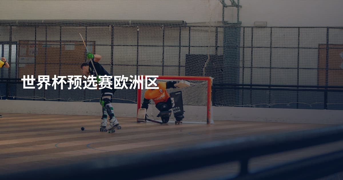 世界杯预选赛欧洲区