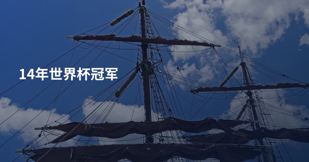 14年世界杯冠军