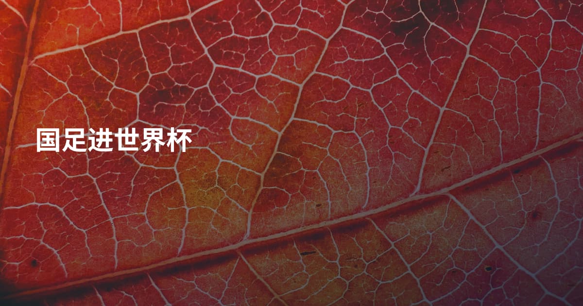国足进世界杯