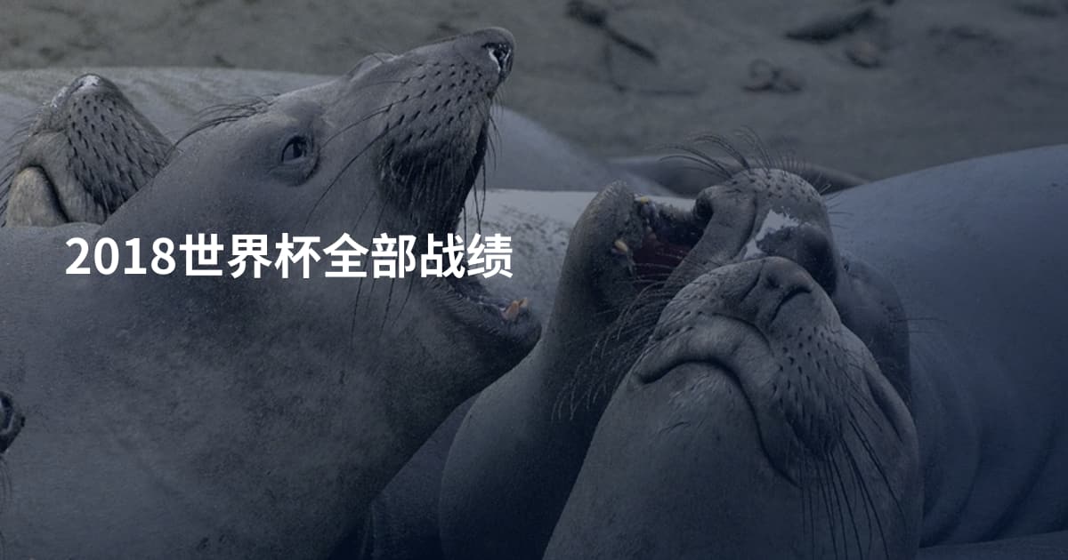 2018世界杯全部战绩