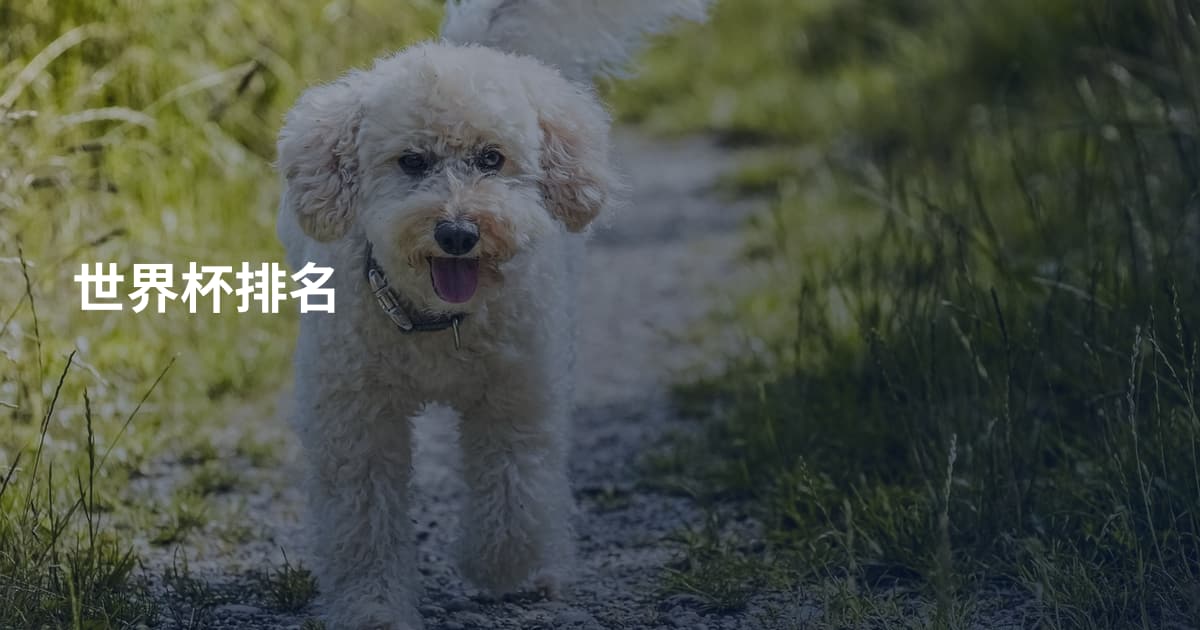 世界杯排名
