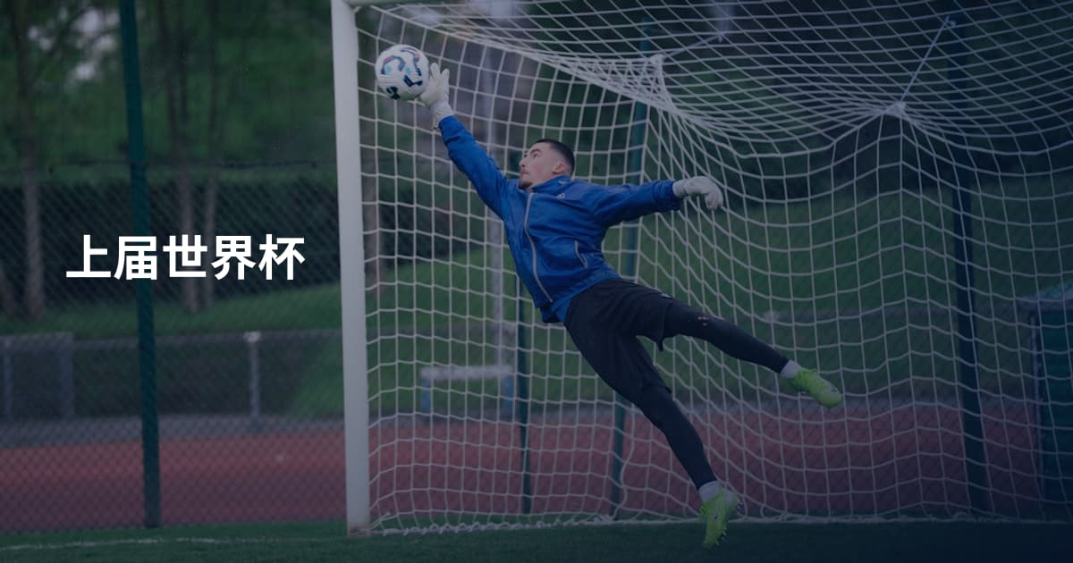 上届世界杯