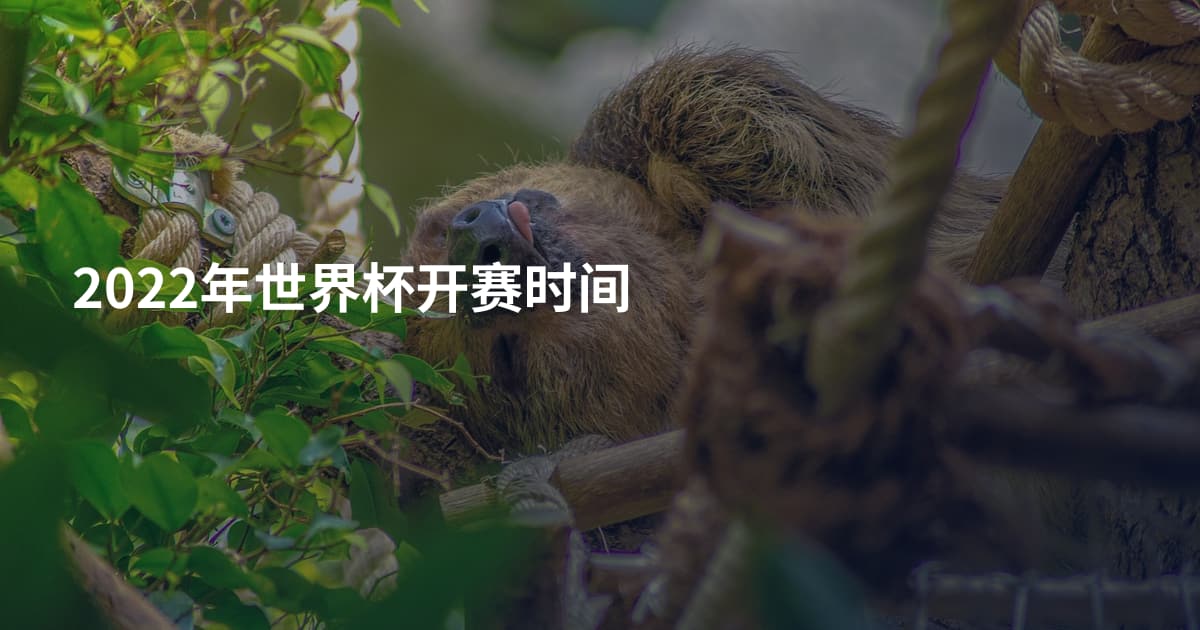 2022年世界杯开赛时间