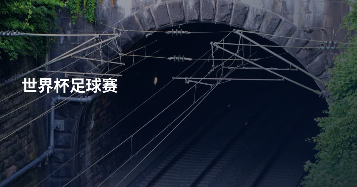 世界杯足球赛