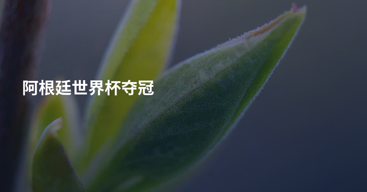 阿根廷世界杯夺冠