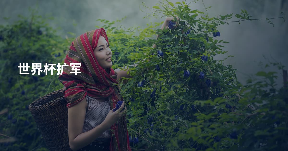 世界杯扩军