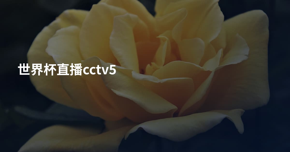 世界杯直播cctv5