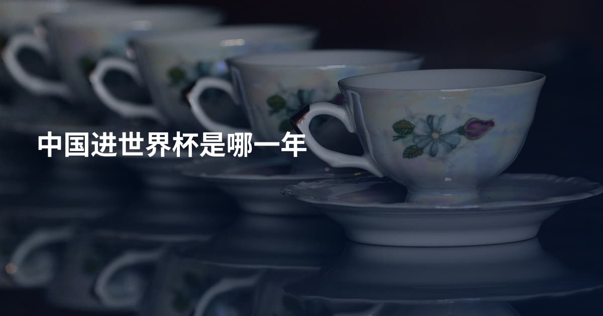 中国进世界杯是哪一年