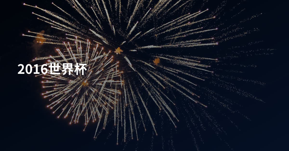 2016世界杯