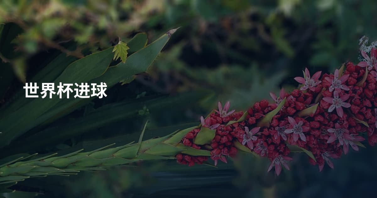 世界杯进球