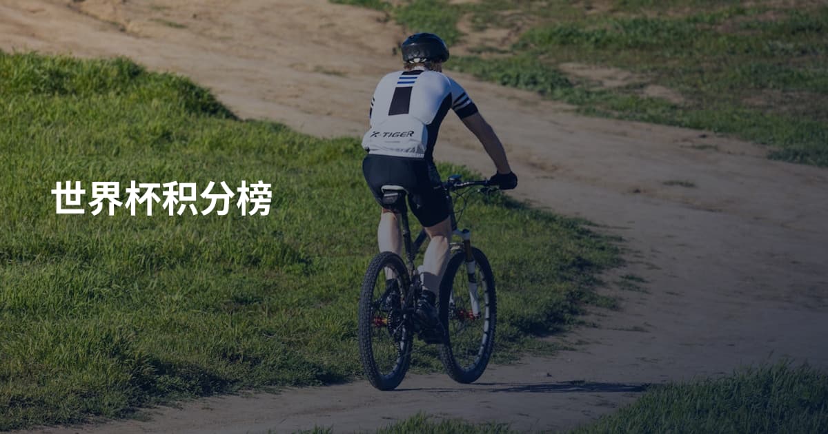 世界杯积分榜