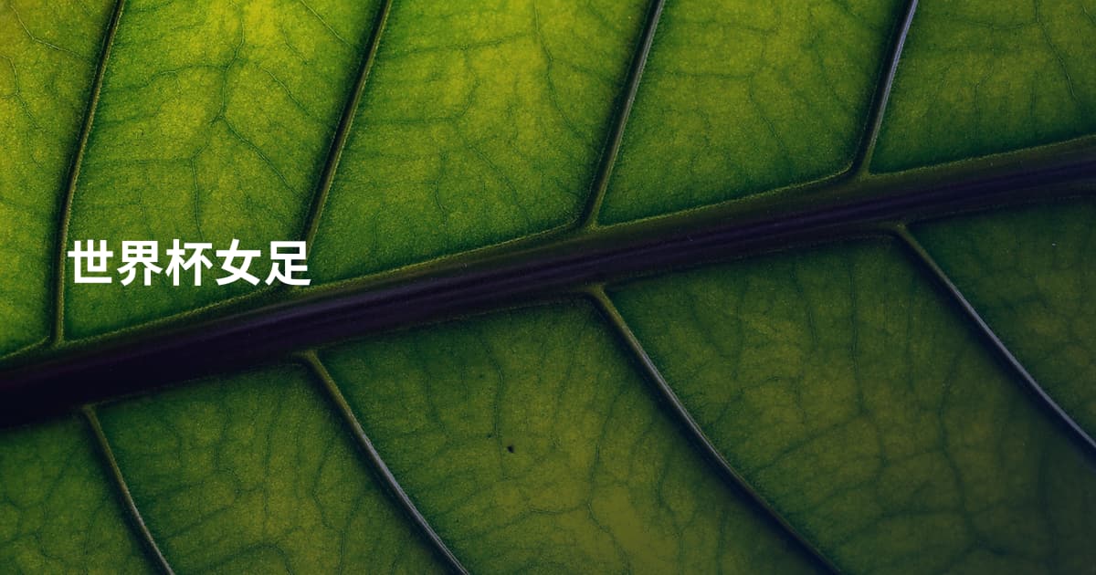 世界杯女足