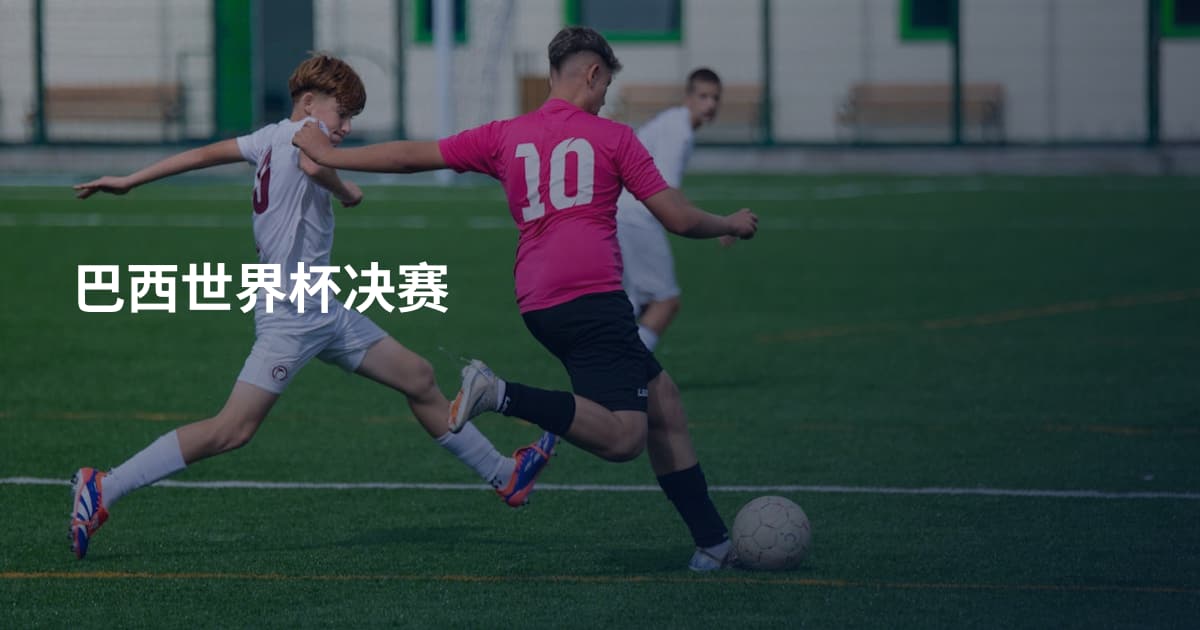 巴西世界杯决赛