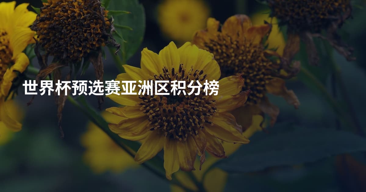 世界杯预选赛亚洲区积分榜