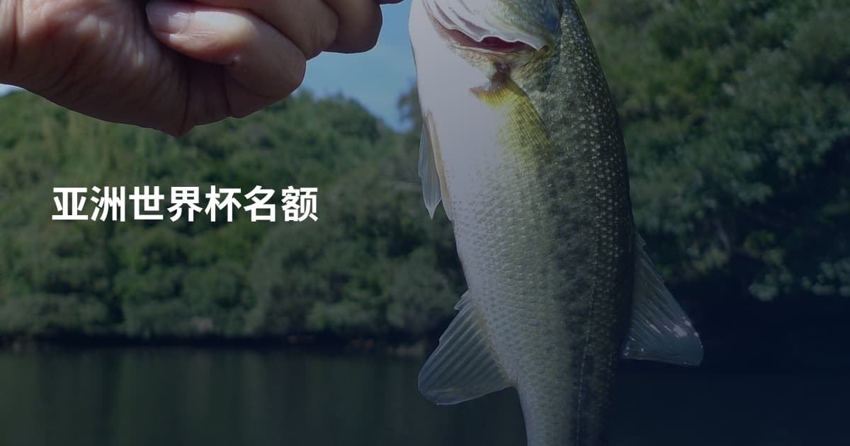 亚洲世界杯名额