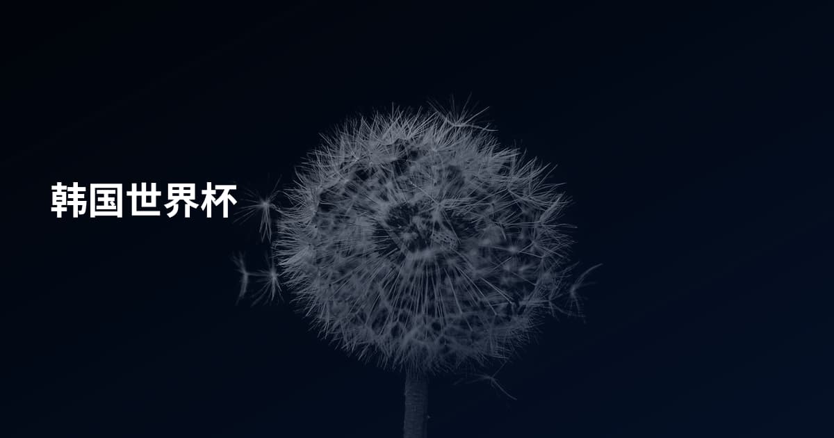 韩国世界杯