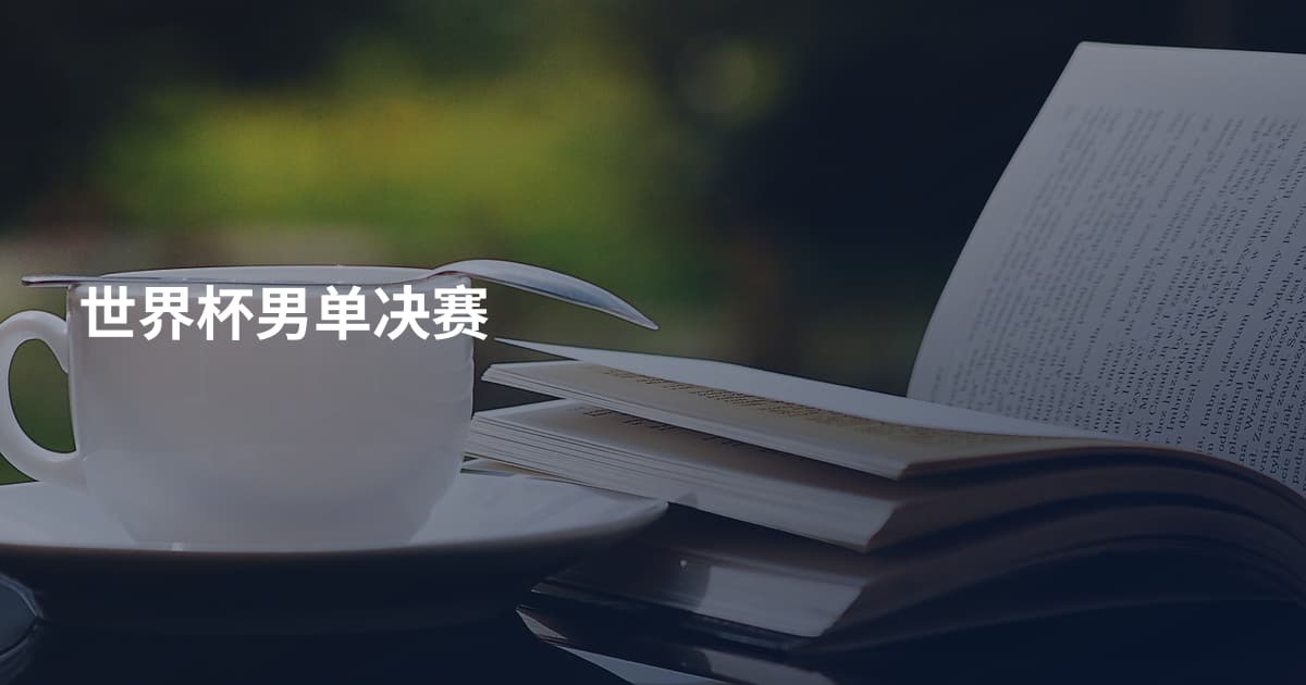 世界杯男单决赛