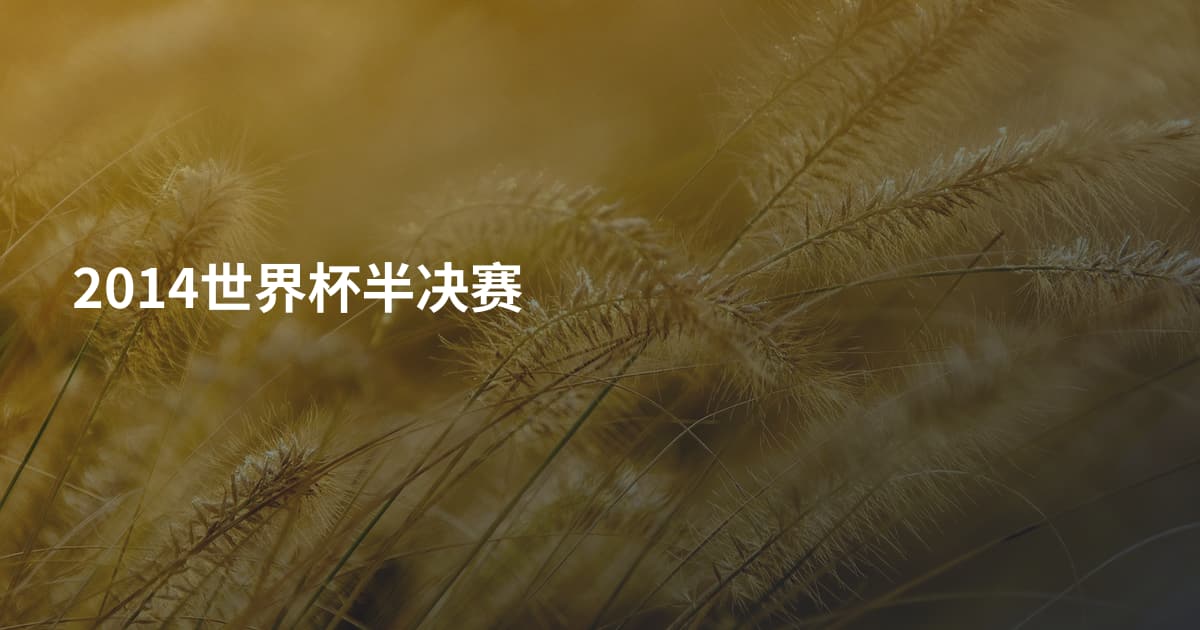 2014世界杯半决赛