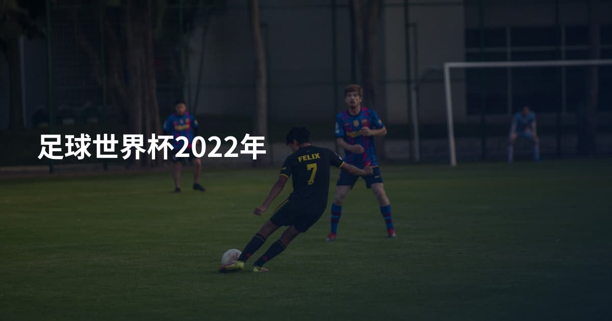 足球世界杯2022年