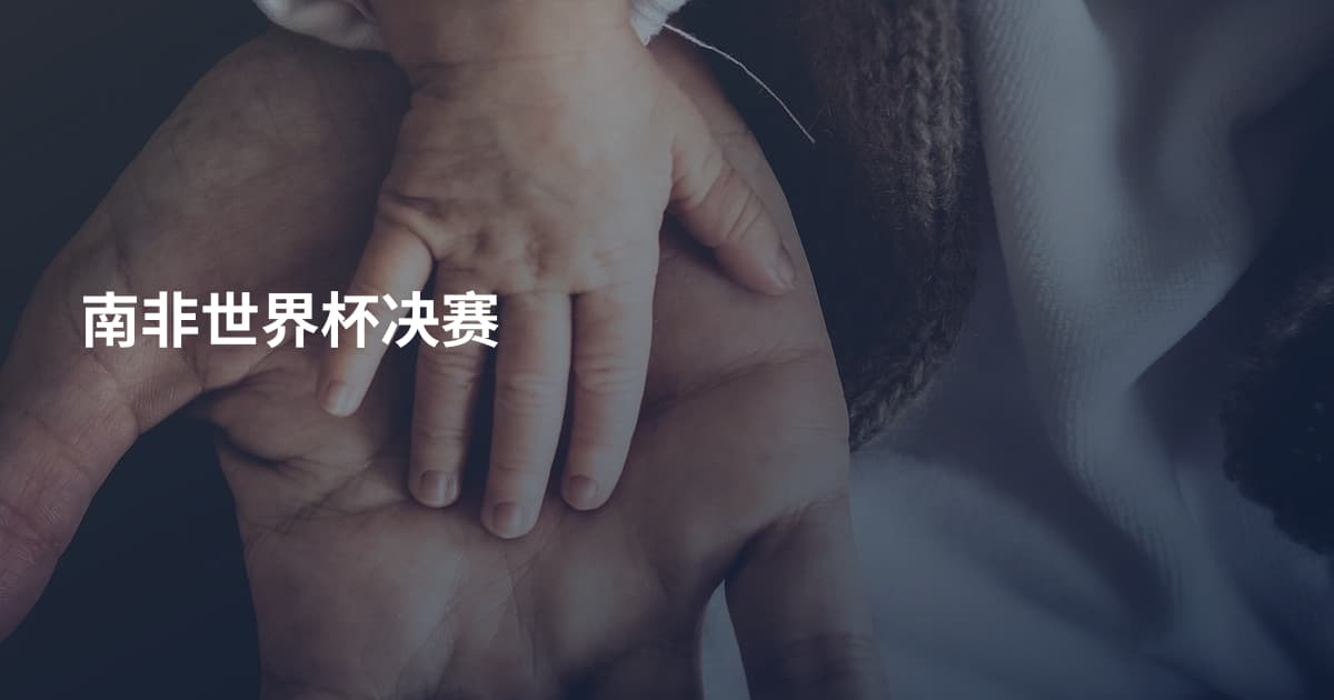 南非世界杯决赛