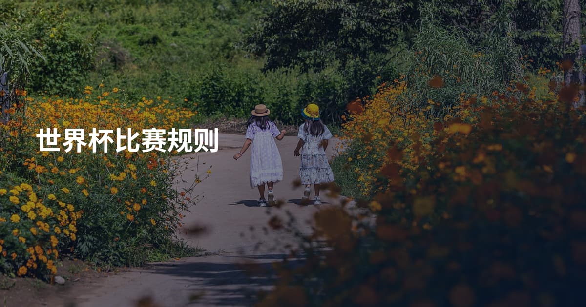 世界杯比赛规则