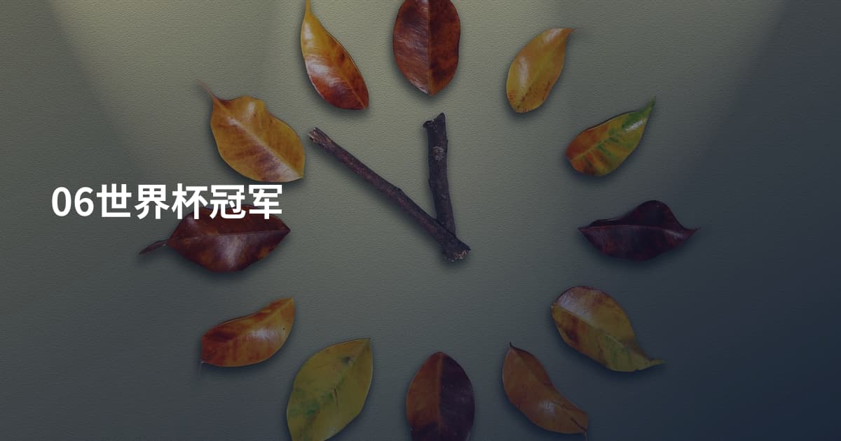 06世界杯冠军