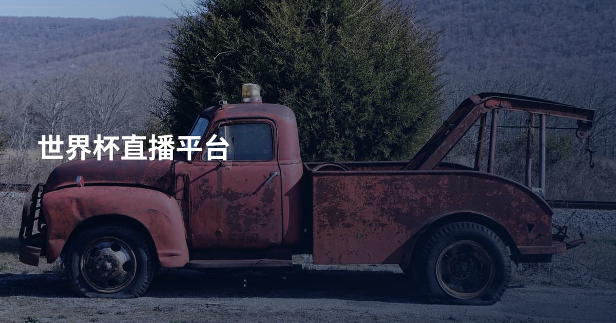 世界杯直播平台