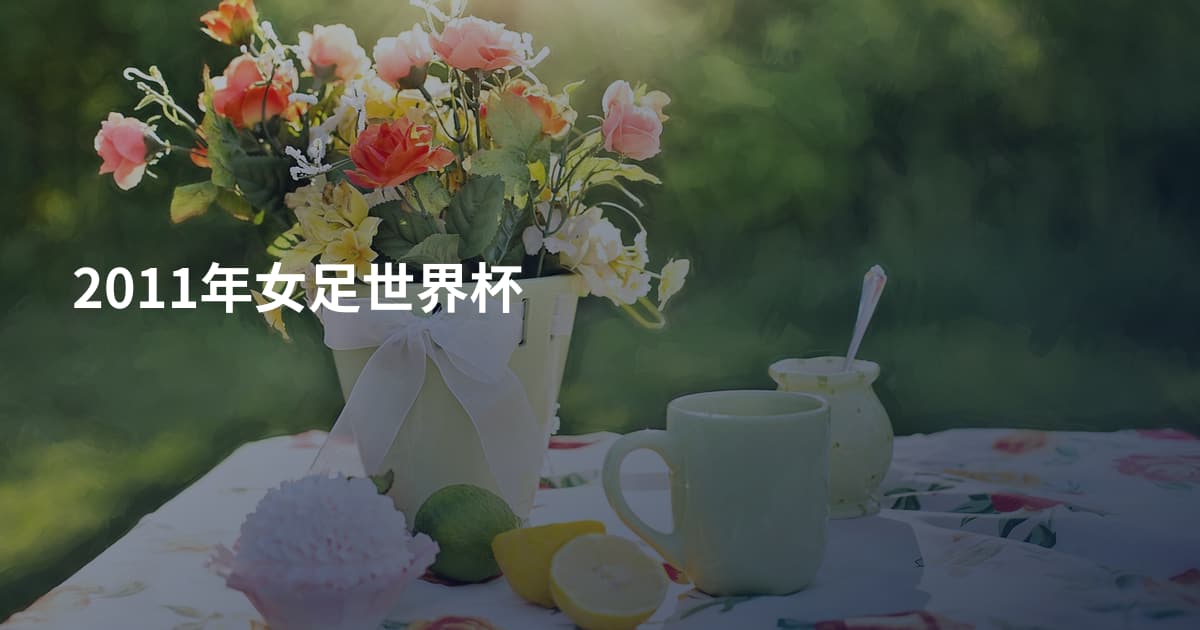 2011年女足世界杯