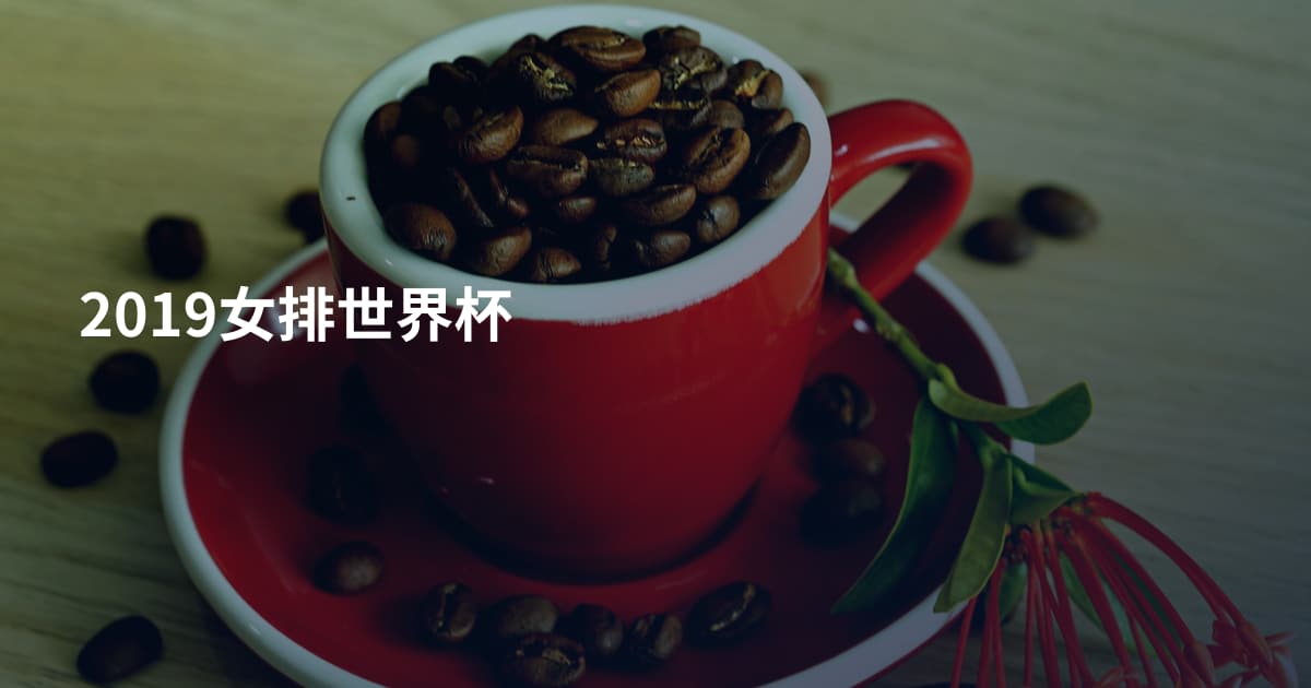 2019女排世界杯
