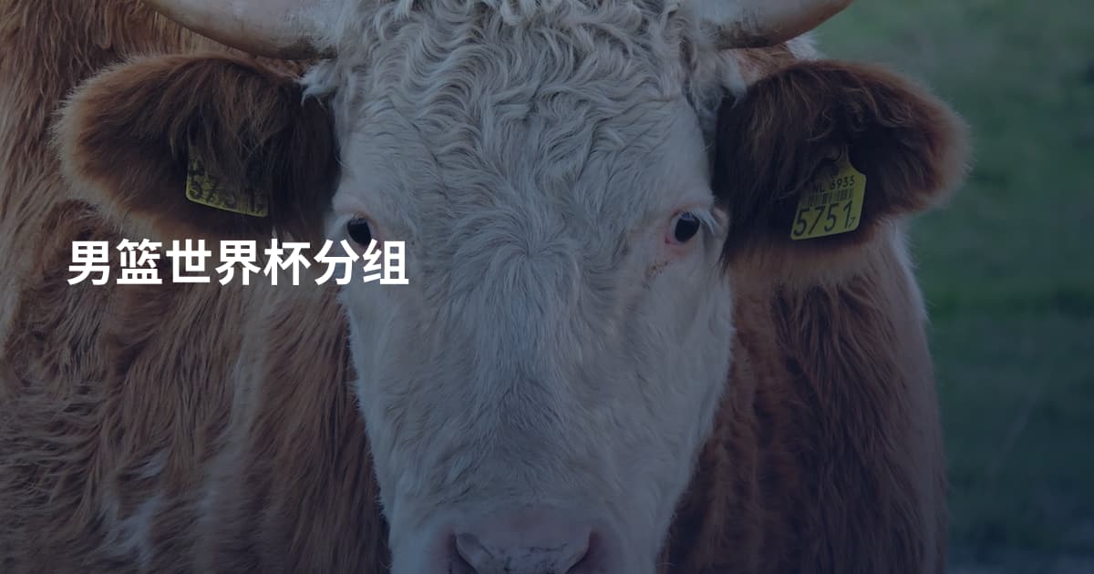 男篮世界杯分组