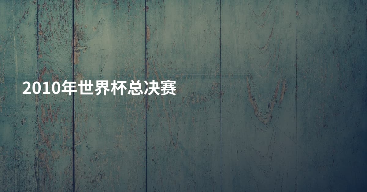 2010年世界杯总决赛