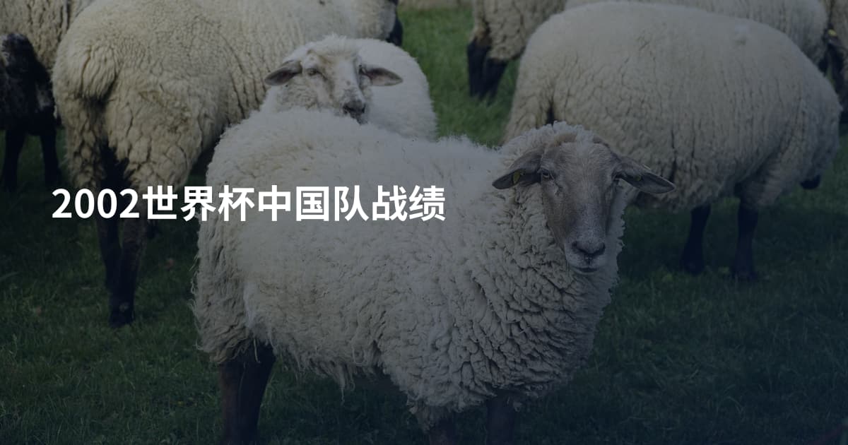 2002世界杯中国队战绩
