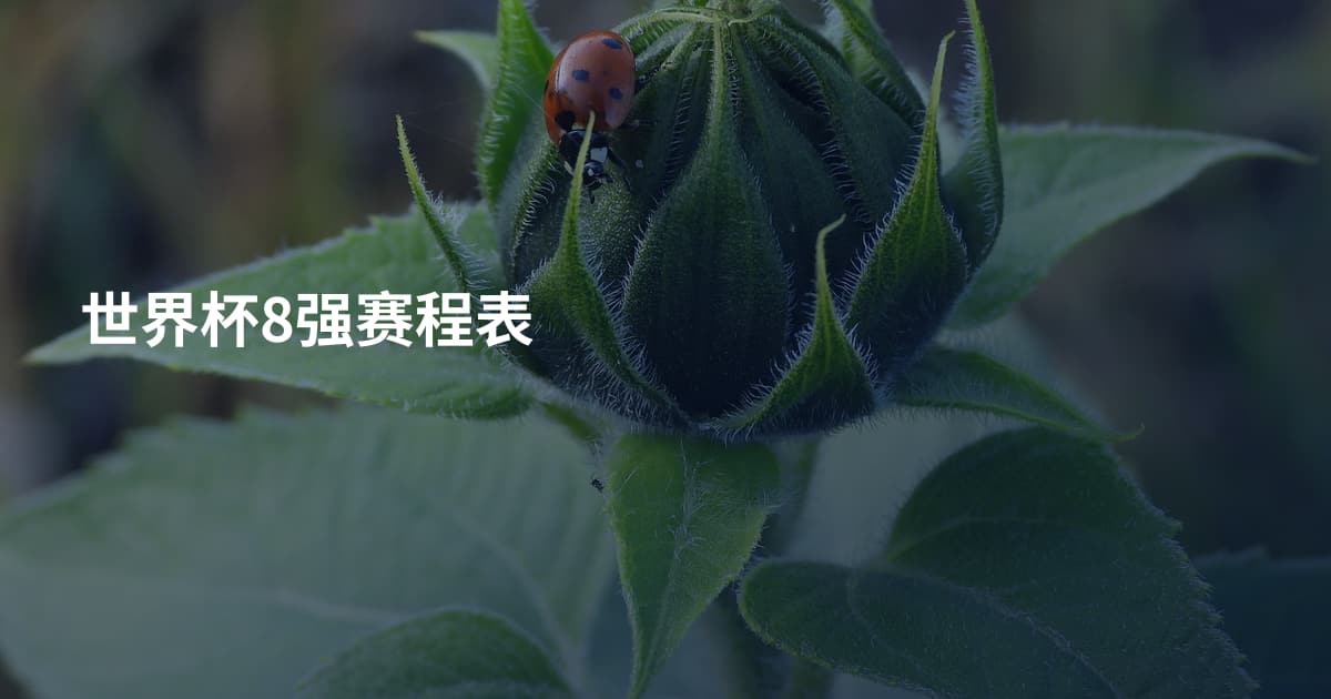 世界杯8强赛程表