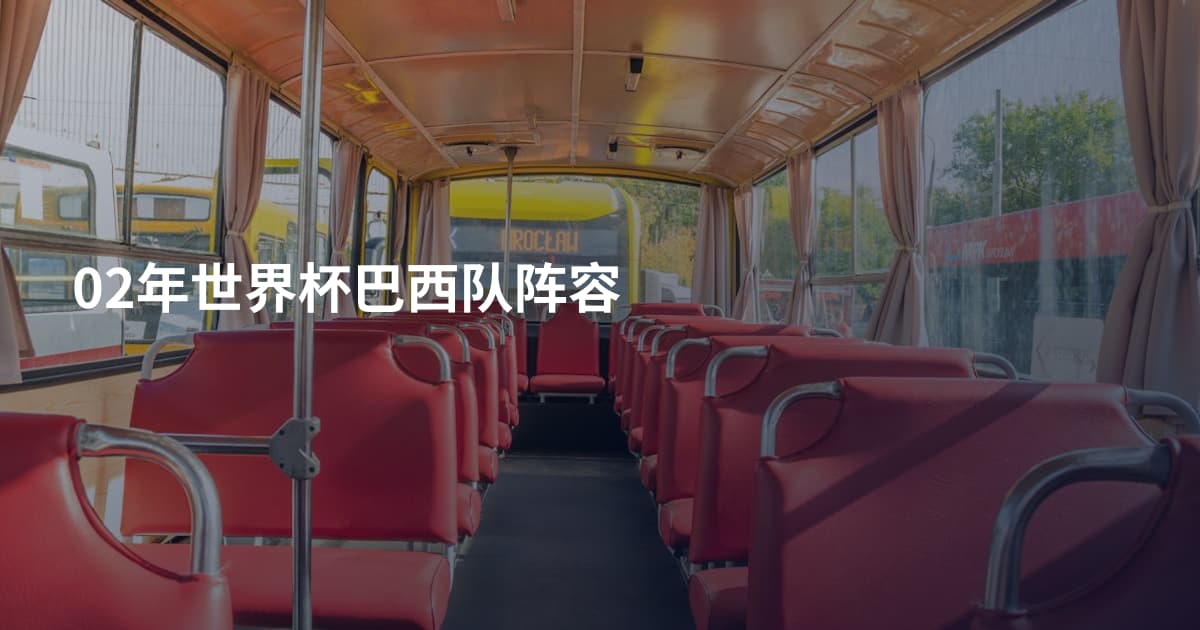 02年世界杯巴西队阵容