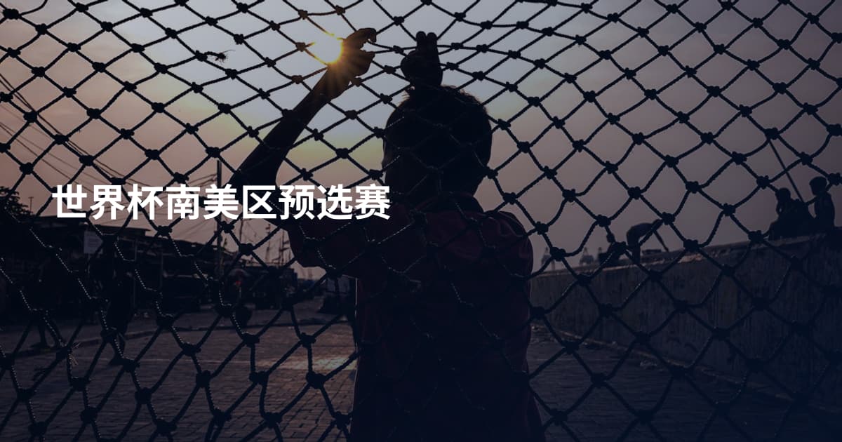 世界杯南美区预选赛