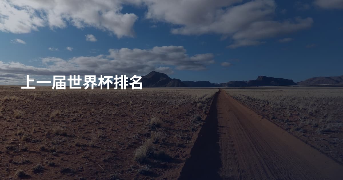 上一届世界杯排名