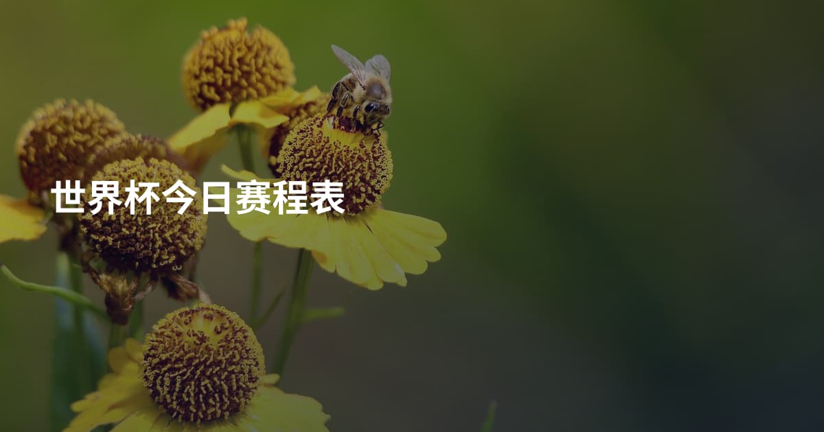 世界杯今日赛程表