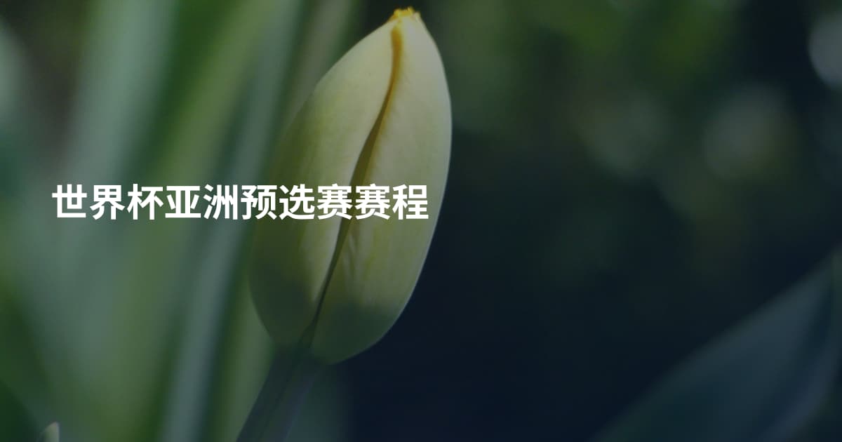 世界杯亚洲预选赛赛程