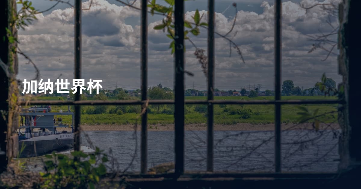 加纳世界杯
