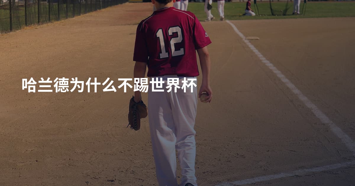 哈兰德为什么不踢世界杯