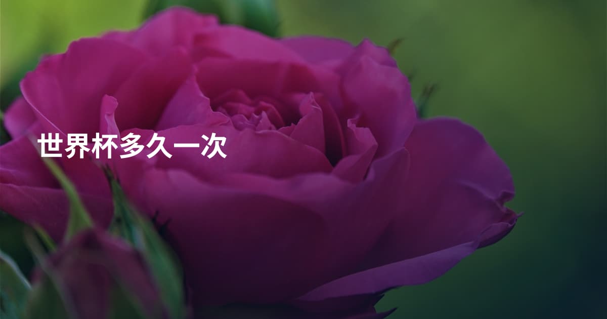 世界杯多久一次