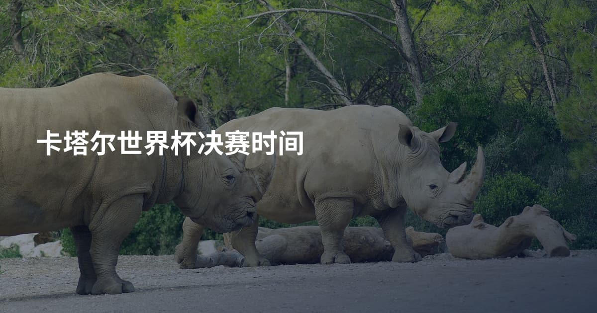 卡塔尔世界杯决赛时间