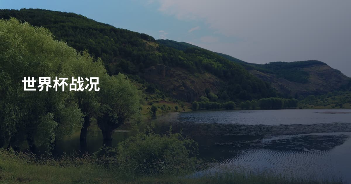 世界杯战况